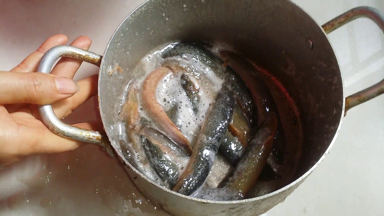 cá chạch kho tộ 2