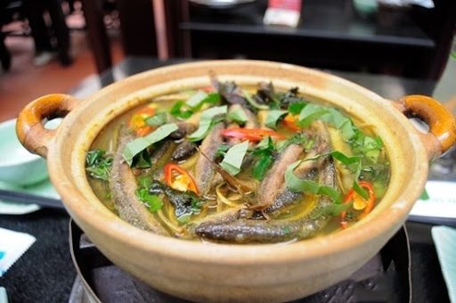 cá chạch nấu gì ngon 2