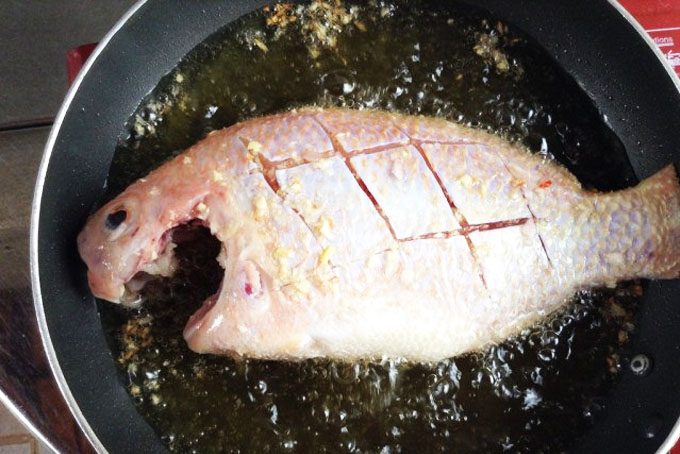 cách làm cá diêu hồng chiên mắm 4