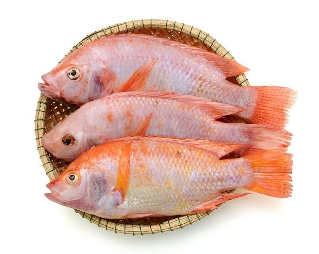 Cá diêu hồng chưng tương 2