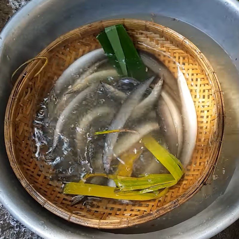 Cách làm cá chạch nấu lá giang