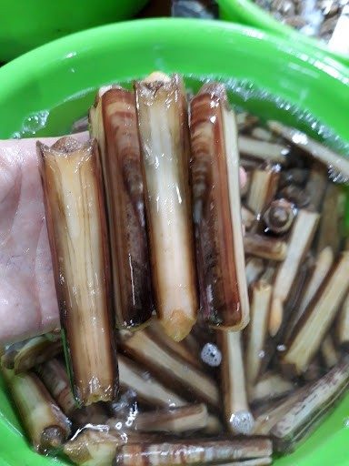 Ốc móng tay xào bơ tỏi 2