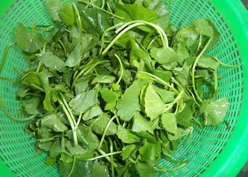 cách làm thịt ngan xào rau má