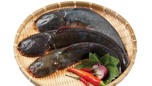 Cách nấu cá trê om riềng mẻ 2