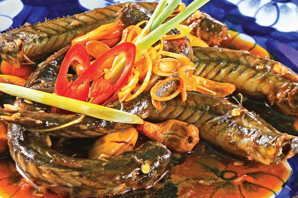 những giá trị dinh dưỡng của món cá chạch 1