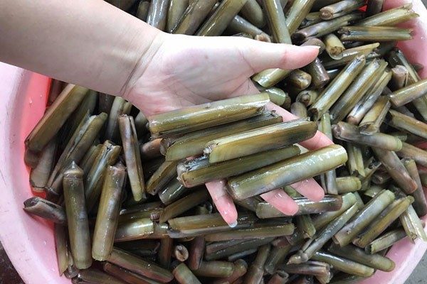 Ốc móng tay cháy tỏi 5