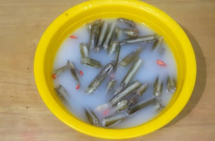 Ốc móng tay xào sả ớt 3